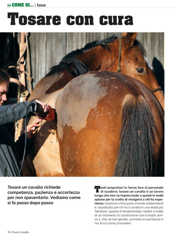 Il Mio Cav (Nov 2021) 9