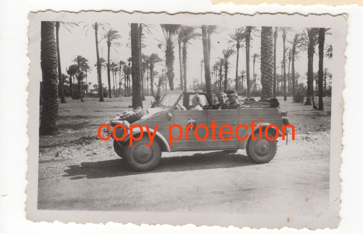 VW 82 Kübelwagen Afrika 1941Afrika-Korps Palme