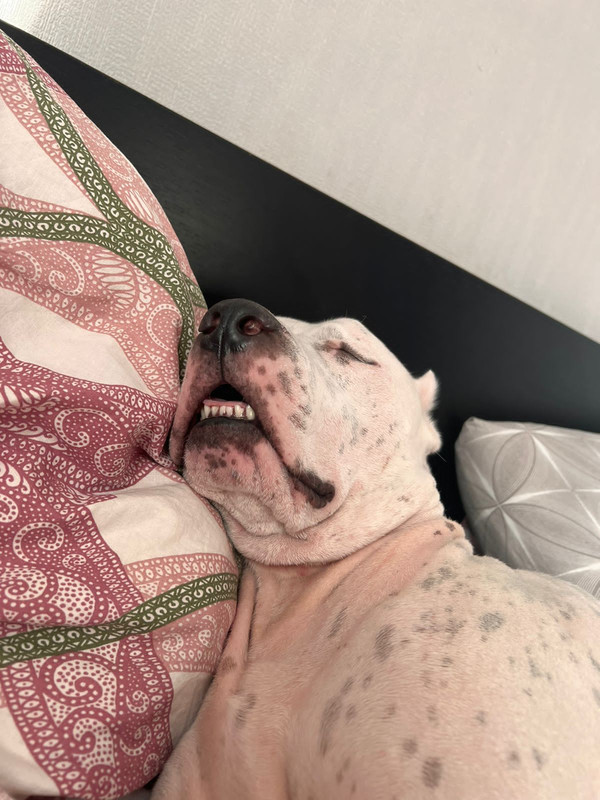 4456D454-1940-425B-B1C0-34DCF8826468