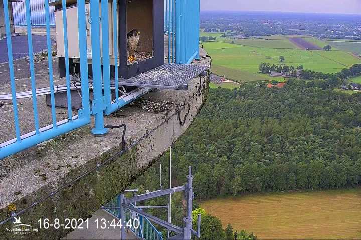 campics vanaf 1 juli  © VWGGemert  en bonusjes van ter plekke - Pagina 17 V