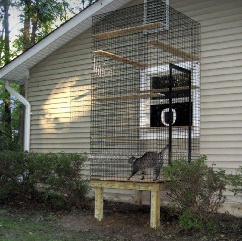 46000DEA-62F4-4AA7-B2E5-888656C41E87