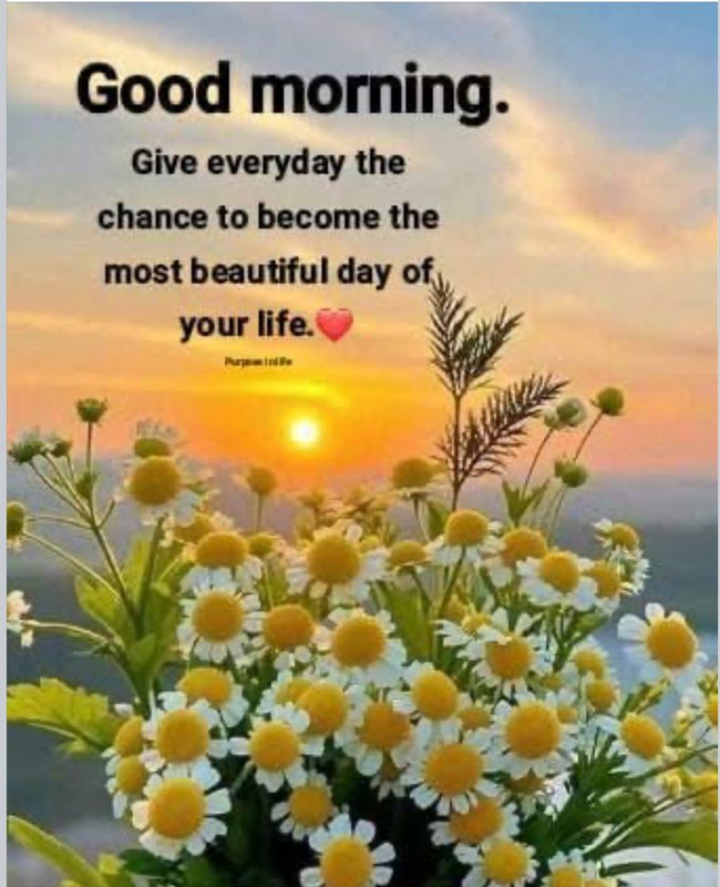 download - 2025-10-11T071506.498