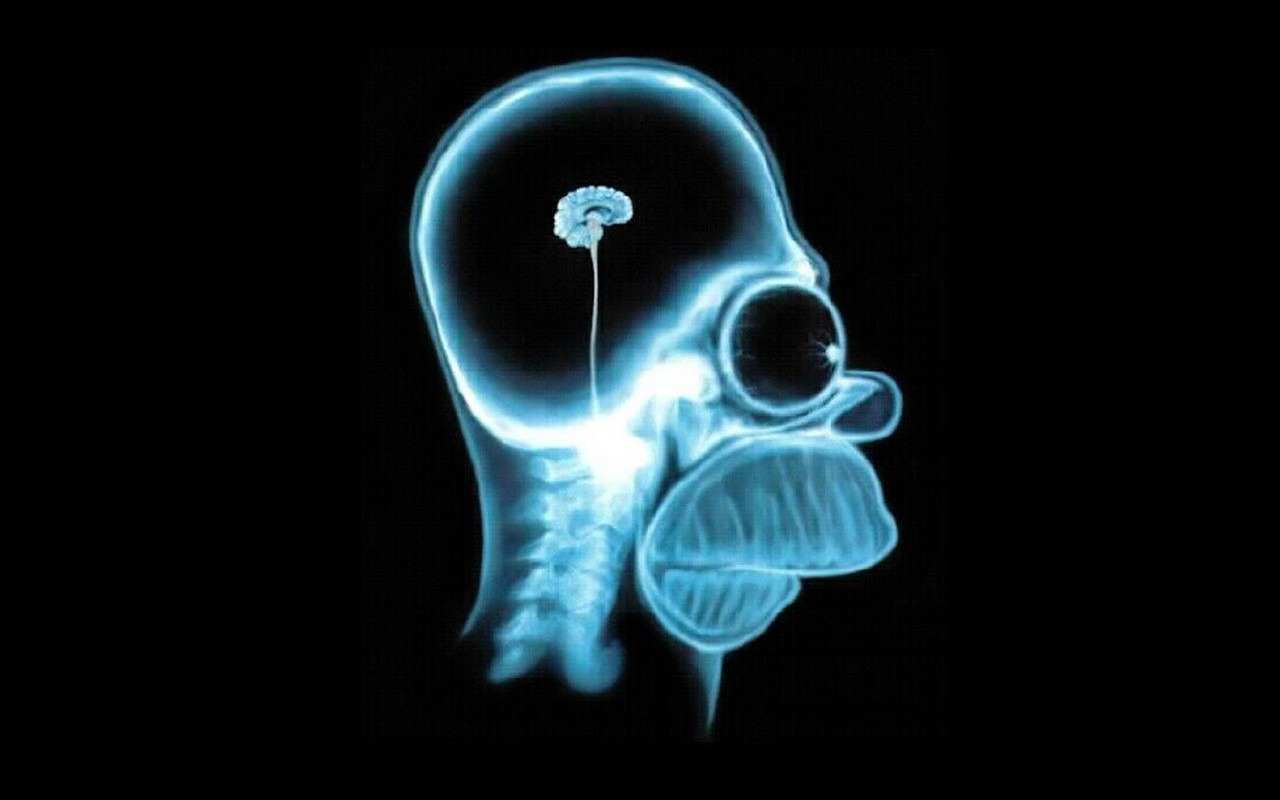 brain homer simpson e1362669096254