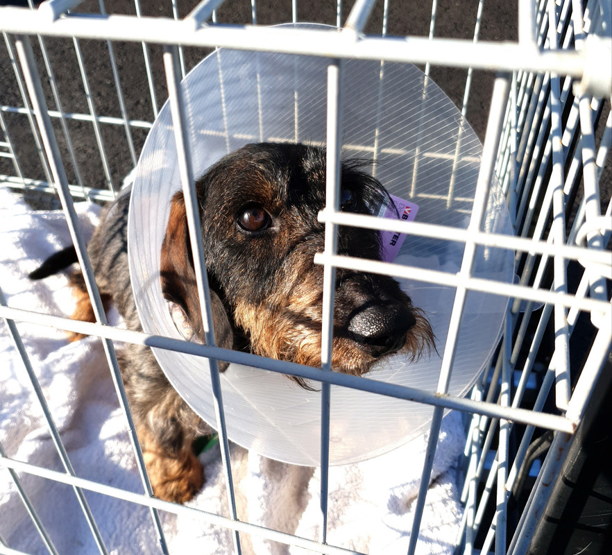 [Image: 20210906-190128.jpg]