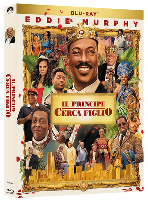 Il principe cerca figlio (2020) FullHD 1080p ENG DTS AC3 ITA AC3 E-AC3 Subs