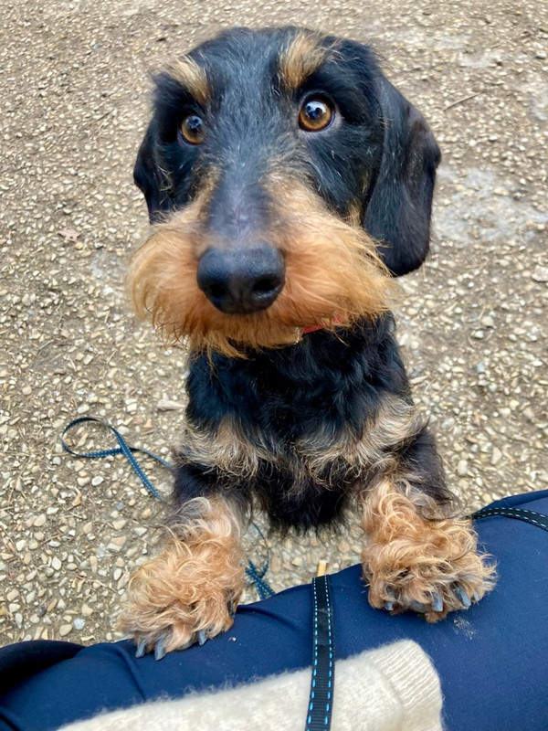 [Image: IMG-20240501-214217.jpg]