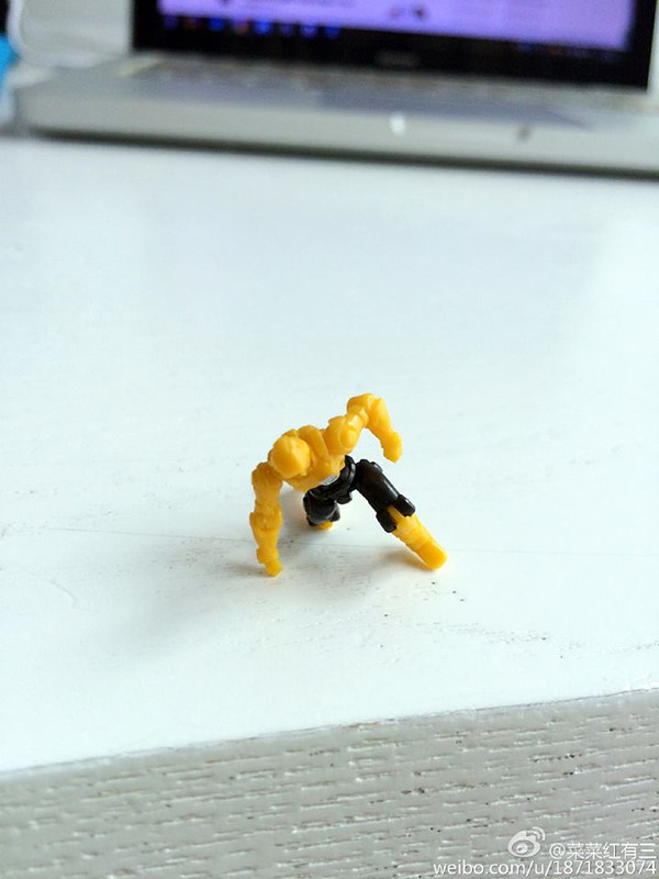 13325663_274493952901039_232629939445223543_n