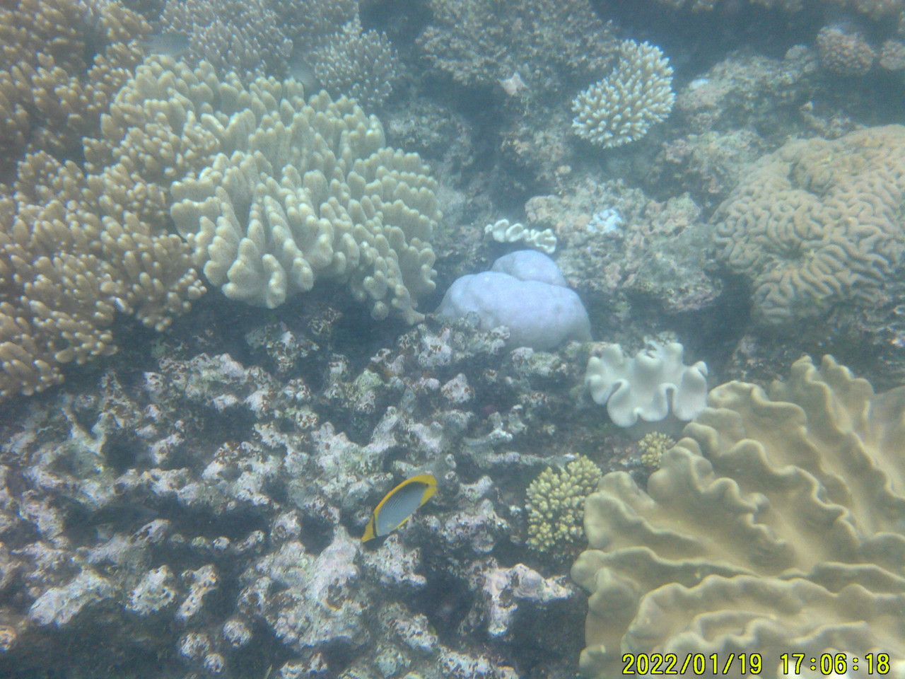 DSCF0004