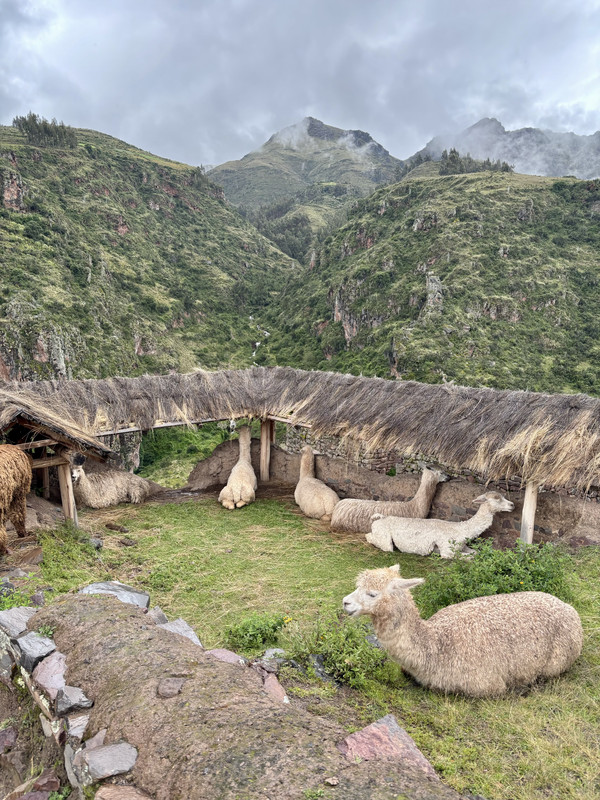 Día 7: Pisac por libre y Cuzco - 16 días recorriendo Perú por libre (2)