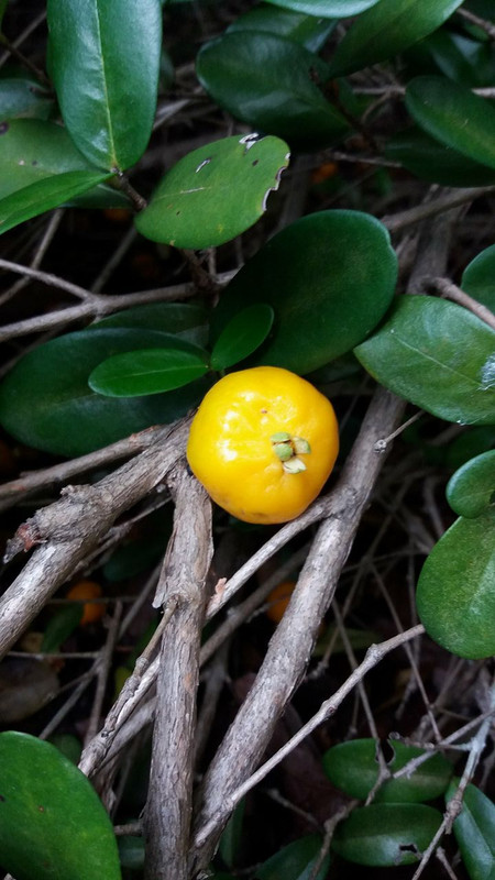 28312193_1847936575217480_1983099124_o (1)