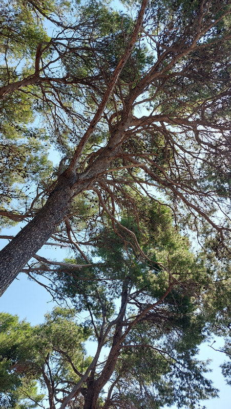 20230709-103148.jpg
