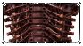 S5