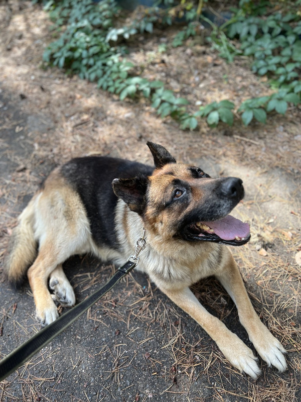 IMG-0c40945e8e0037e48a3703c506a0a821-V