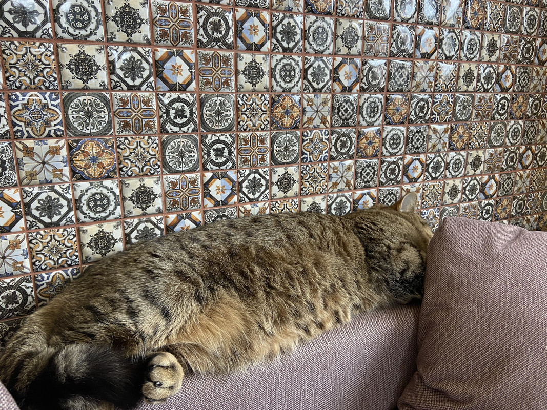 A26376D4-B561-446F-BAA1-40648EC0E7B0