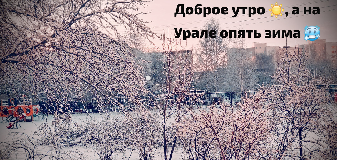 IMG-20250411-WA0002.jpg