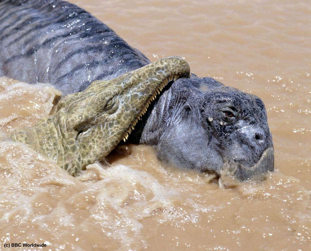 MV5BMTg5MTQ4NzI2NF5BMl5BanBnXkFtZTgwNTI2NTMwMjE@._V1_