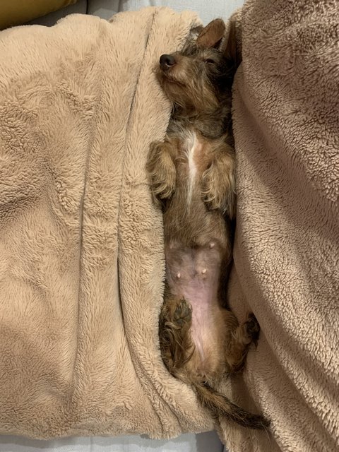 [Image: DCD662-E4-2-A23-4-F9-D-9-A8-C-FC4-F92-E3-EA4-A.jpg]