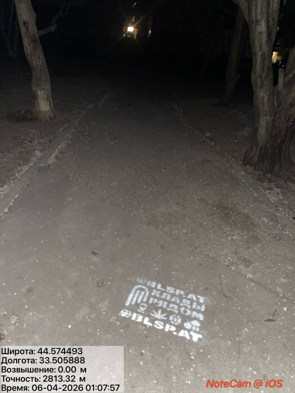 photo 35 2026 04 06 03 46 00