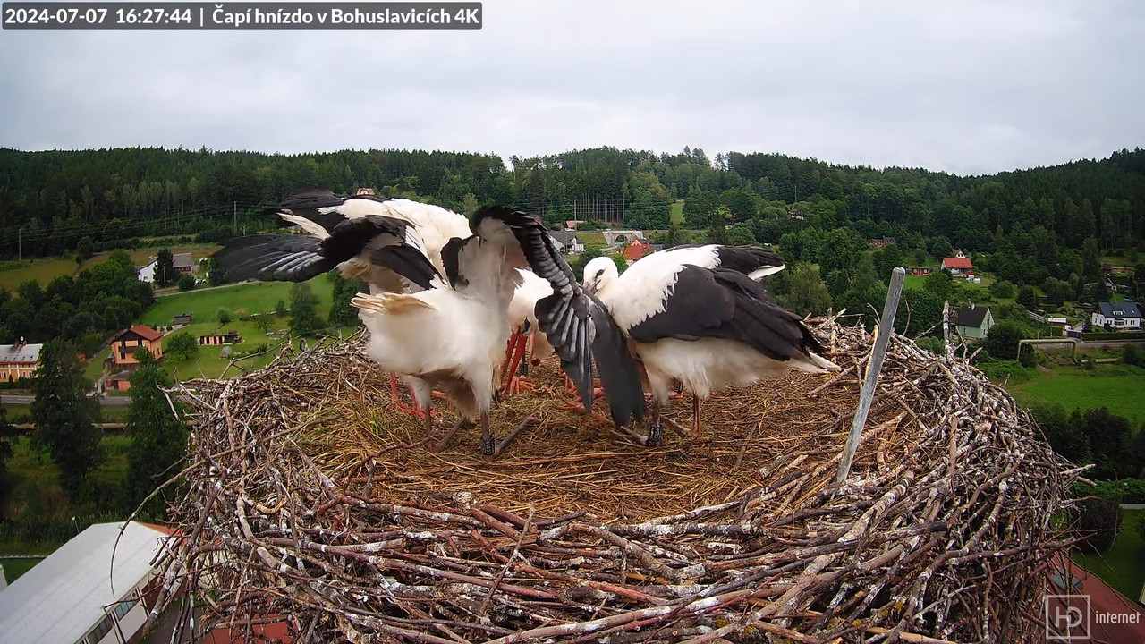 Tiešraidē no uzņēmuma KARA stārķa skursteņa Bohuslavicē pie Trutnovas 16-50-59 screenshot