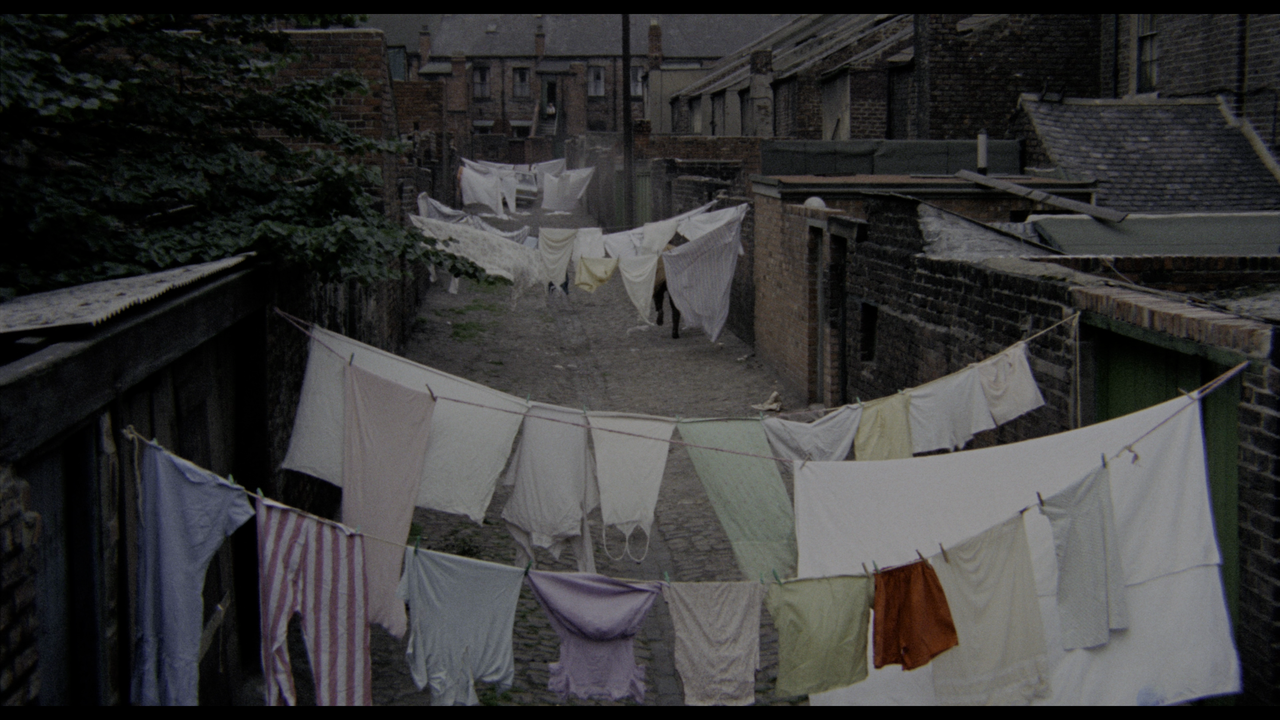 vlcsnap-2023-02-16-12h31m32s211