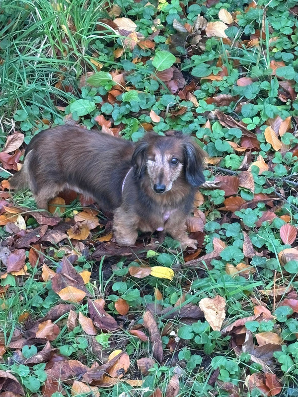 [Image: IMG-20251029-WA0014.jpg]