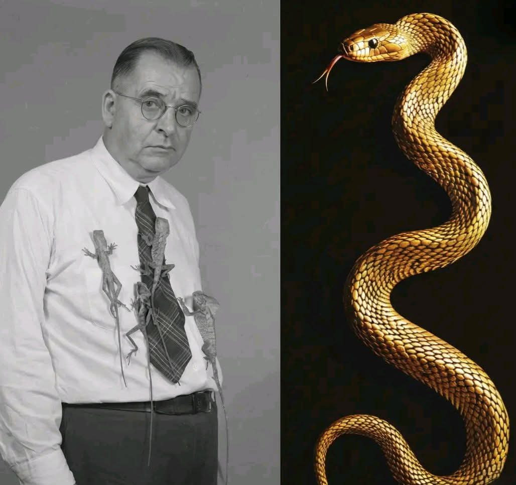 FB IMG 1766248304018