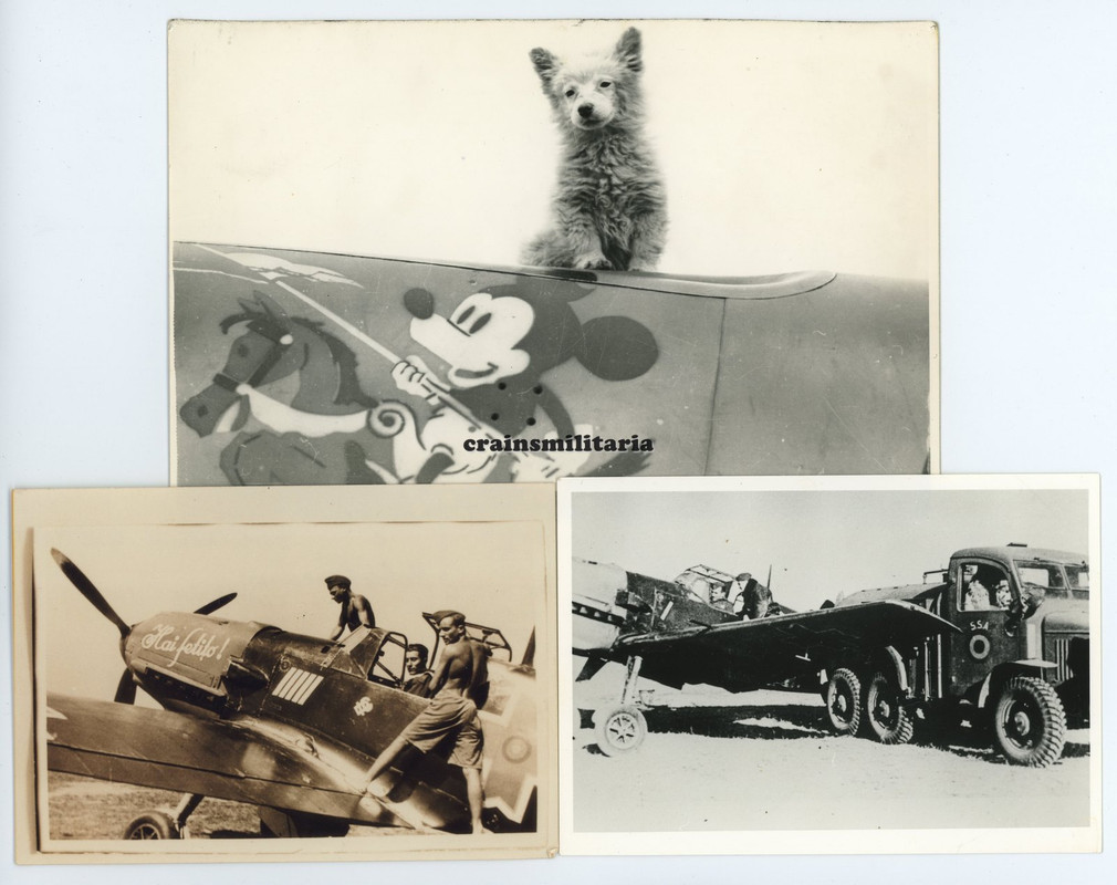 3x Riesen REPRO Foto rumänische Flugzeug Messerschmitt Bf 109 Rumänien Wappen