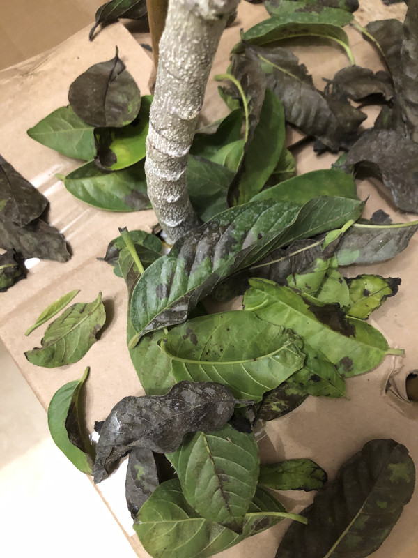 9BB36840-D8FC-46E5-B35C-EB1D45D5CB5F