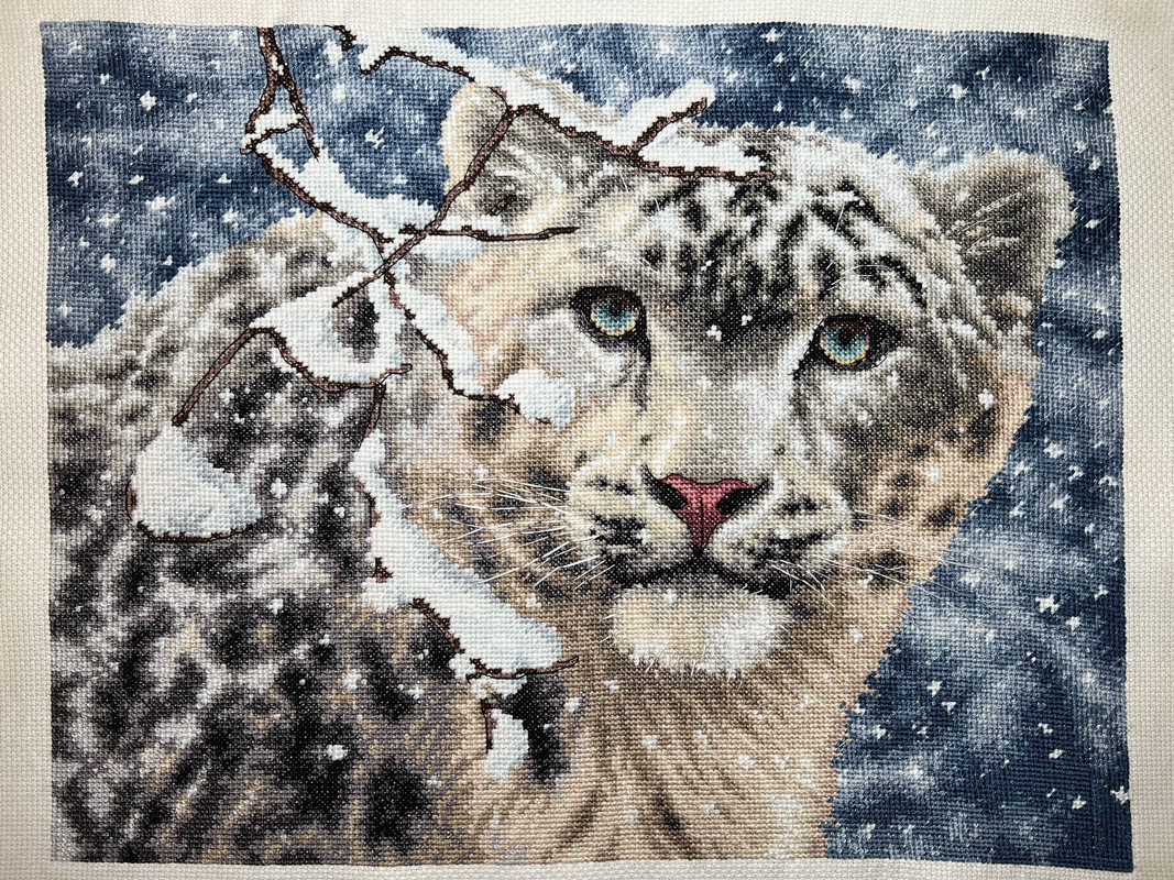 3D348EBC-F99C-4A08-BFF2-80DC99596704