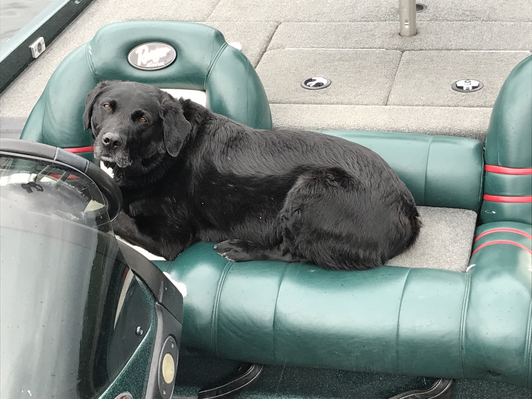 oSqQzyHAT8yheLznUkREiw