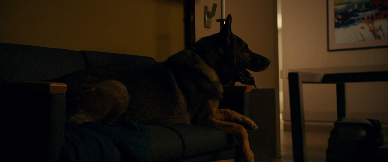 Hours.2013.iTA-ENG.Bluray.1080p.x264-TRL.mkv_sna