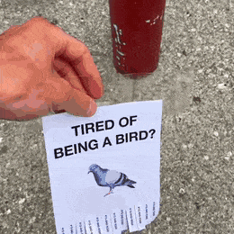 daily-gifdump-3378-05.gif