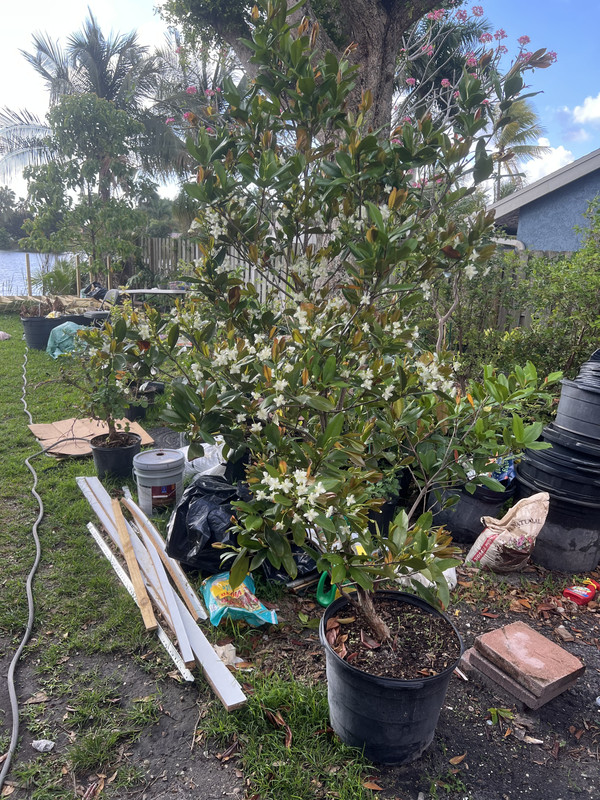 3680AF05-BAF2-4FB7-9EBB-1E7E83303EA7