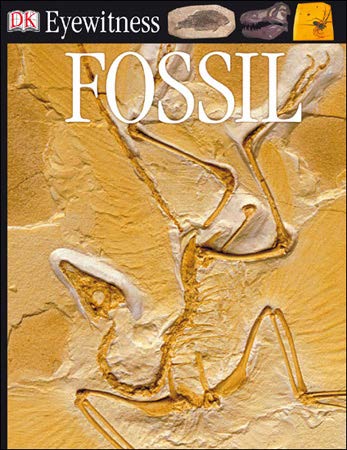 DK Eyewitness Books: Fossil