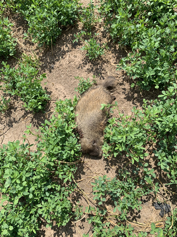 607523FE-1A03-4169-AD77-94E6D21C366C