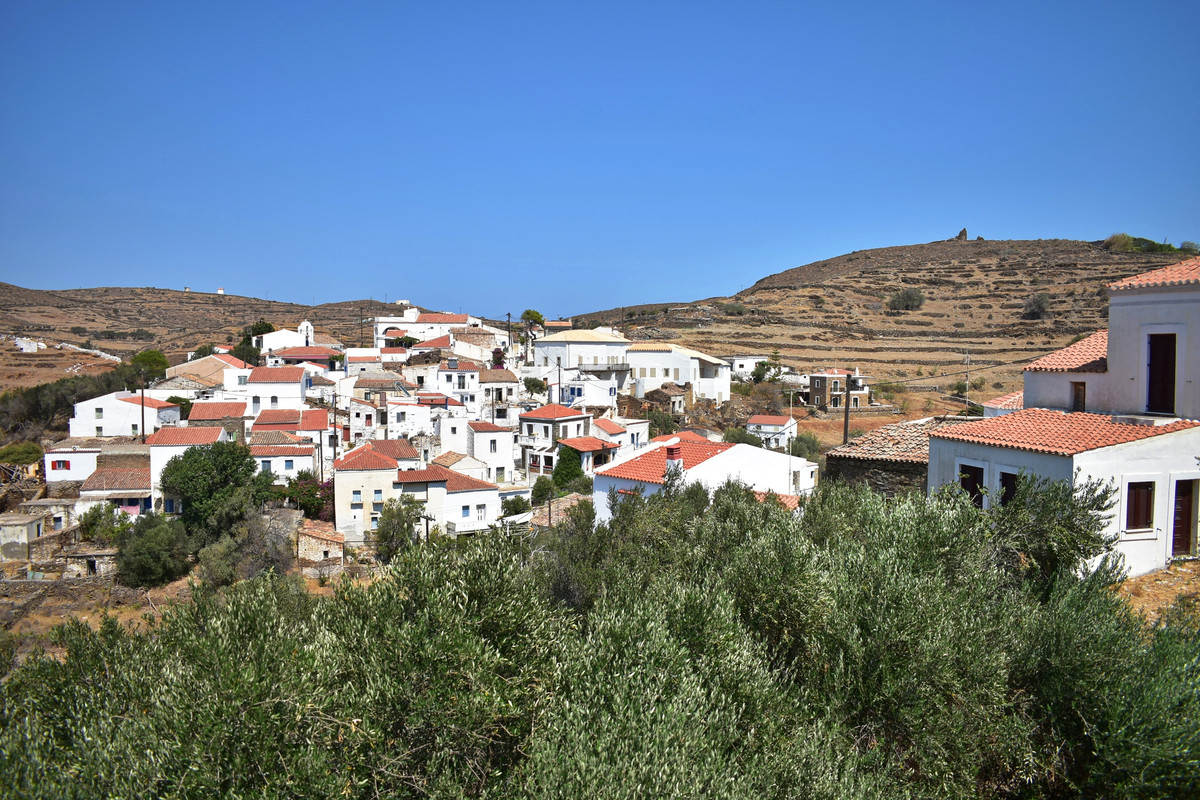 Δρυοπίδα (12)