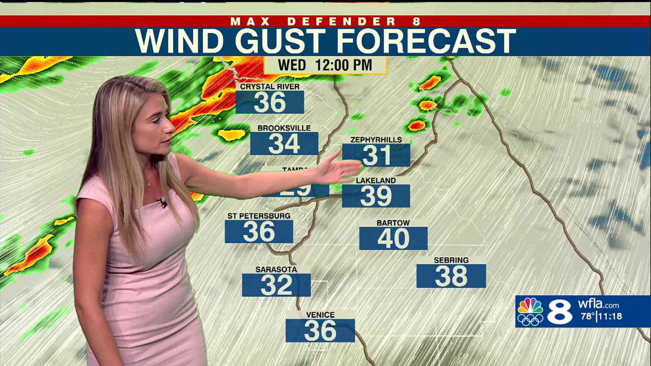 NewsChannel 8 at 11AM_20240403_16001700.ts_snapshot_20.16.533