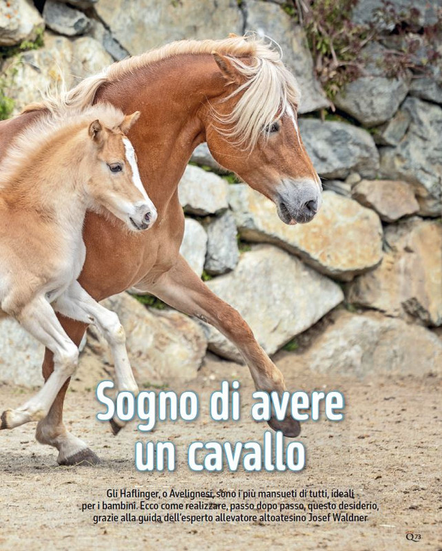 QuattroZampe Dic 2024-Gen 2025 (8)