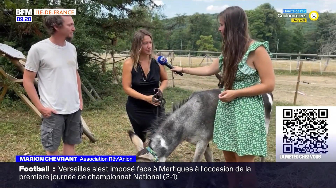 vlc-record-2022-08-13-16h22m53s-08.13 - 07.55.51-1.m4v-.mp4_snapshot_05.21_[2022.08.13_17.05.10]
