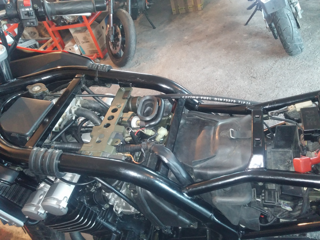 CAM02940