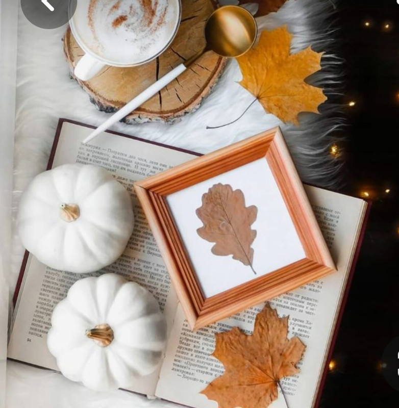 Screenshot_20230310_001824_Pinterest