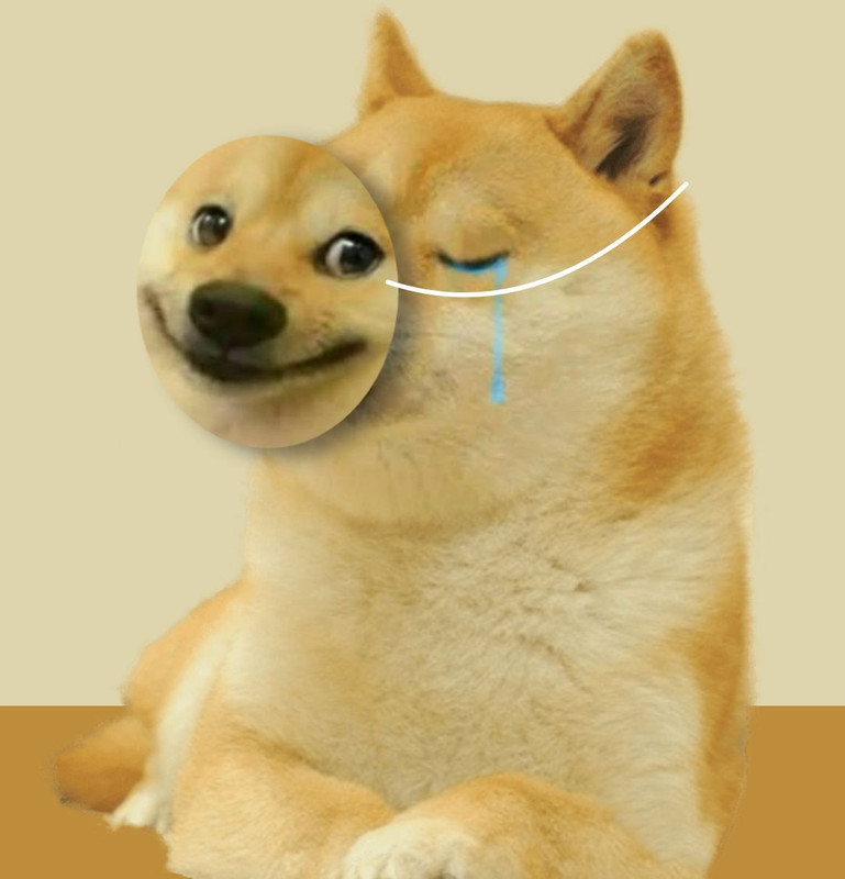 842E75EA-5422-4B6E-9F1E-881960D5EEC4