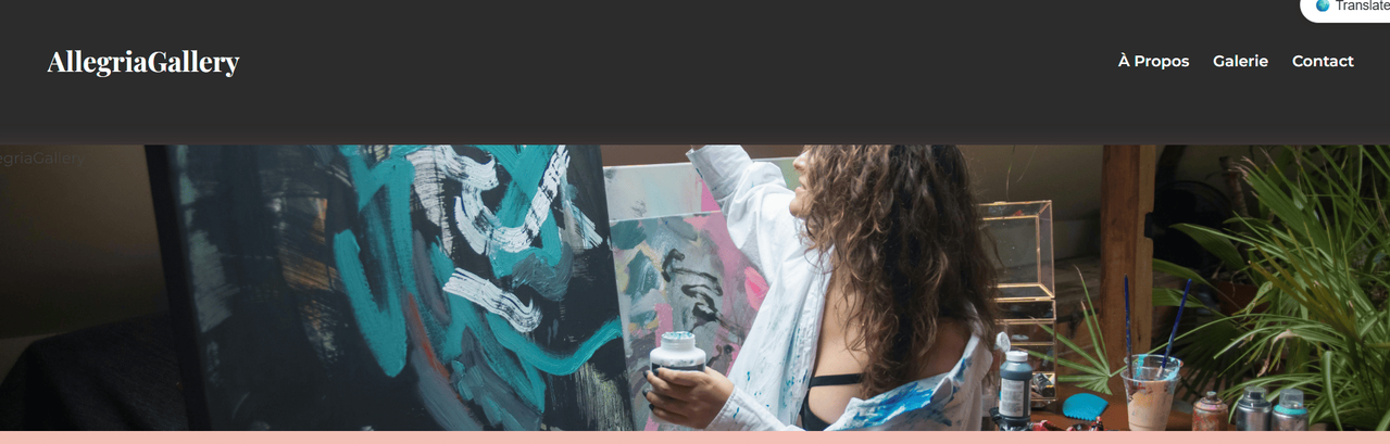 Allegria Gallery Portugal