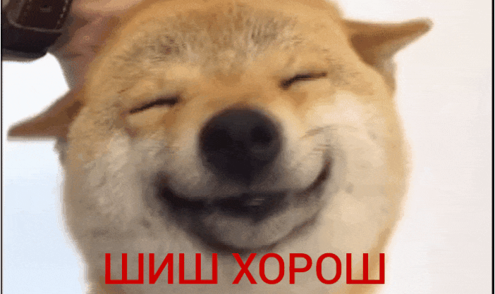 GIF-20260105-082258-563.gif