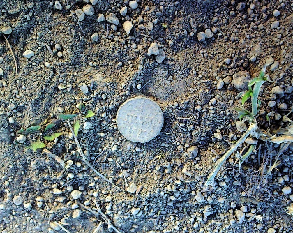 2014-07-10 @19-57-21 - 1 penni 1881 - pintalöytö