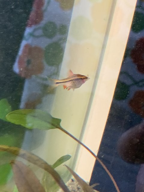 E2EBA159-12EC-467D-A357-D5B4577F2098