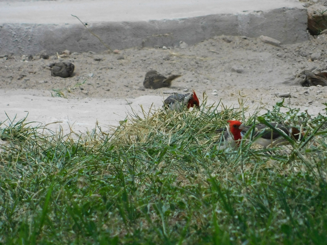 DSCN0198.jpg