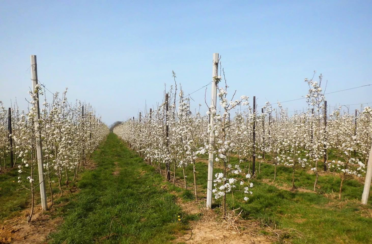 486719530_4169618869977894_1162021844507341724_n