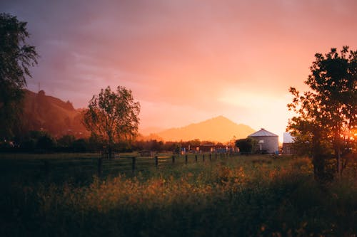 Best Timeshare Companies Australia