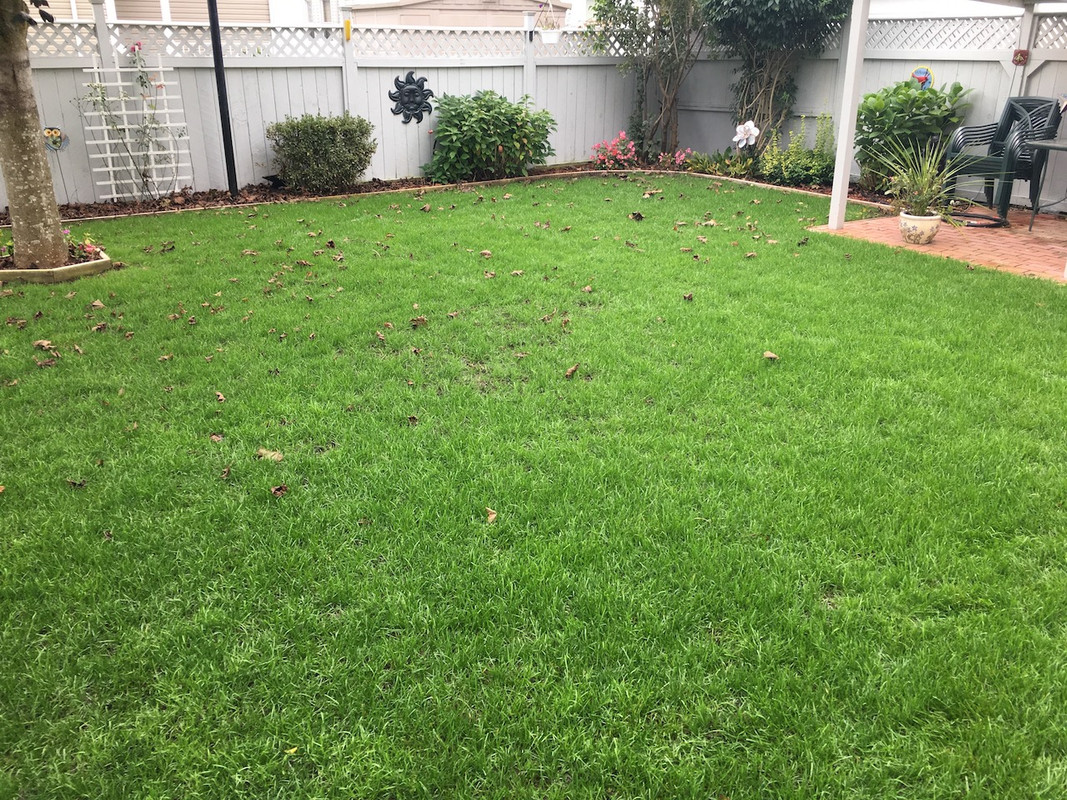 2017_Backyard_Reno_Day_61_3_small